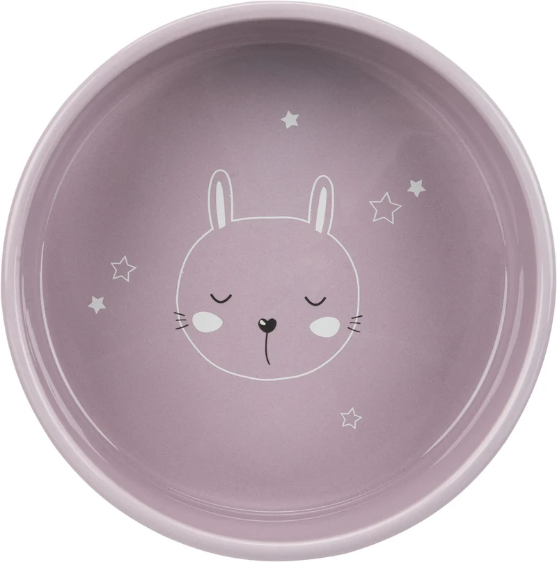 Comedero Cerámica Modelo Junior para Mascotas — Bowl con Cara Animal