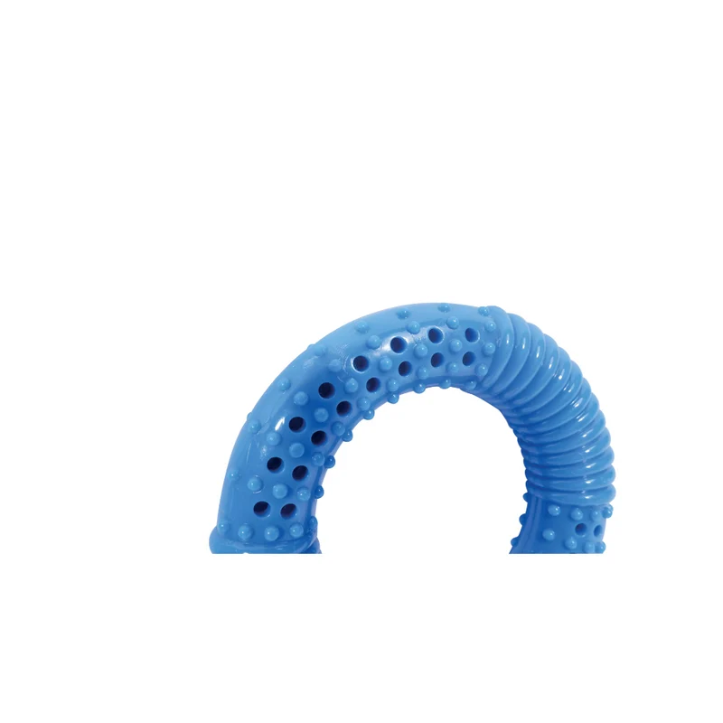 COOLING Dog Toy - LOOP