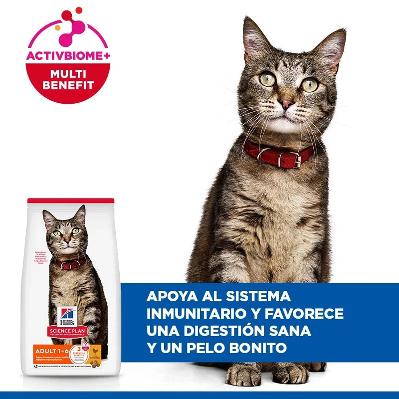 Hill's Science Plan Adult Pollo 300 g Pienso para Gatos