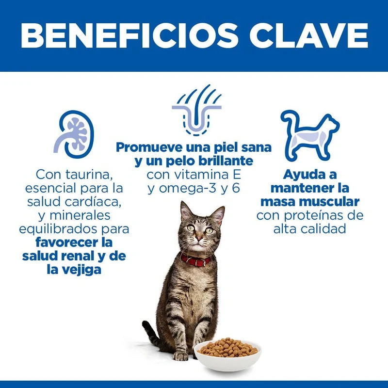 Hill's Science Plan Adult Pollo 300 g Pienso para Gatos