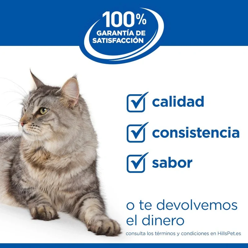 Hill's Science Plan Adult Pollo 300 g Pienso para Gatos