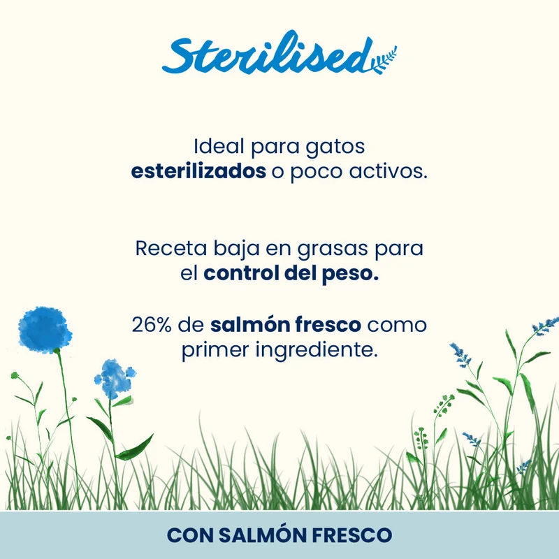 Almo Nature Adult Sterilised Salmón Fresco Pienso para Gatos