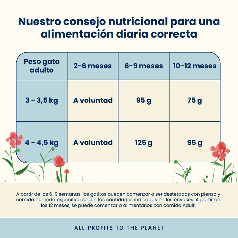 Almo Nature Kitten Pollo Pienso para Gatos