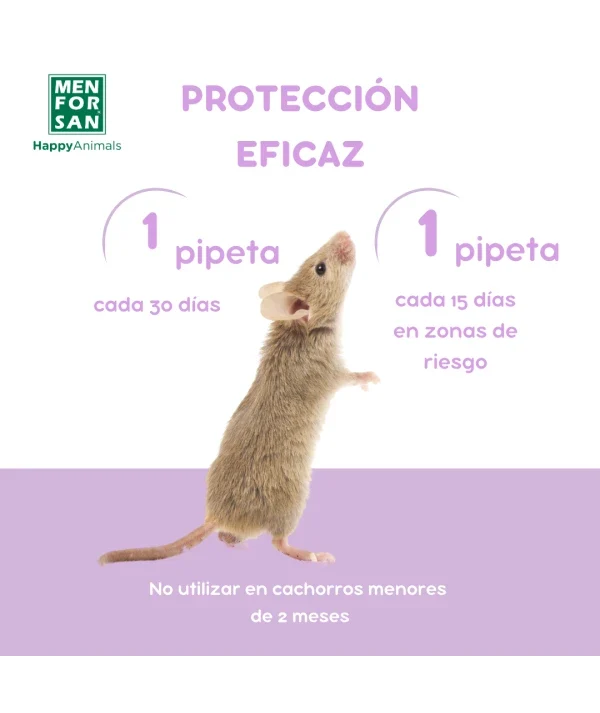 Menforsan Pipeta Antiinsectos para Roedores, Conejos y Hurones