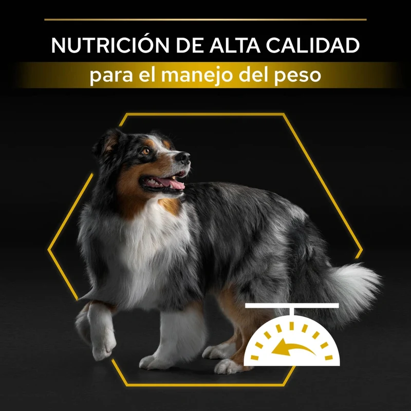 Pro Plan Dog AllSize Adult Light Sterilized Pollo 14kg+2,5kg gratis