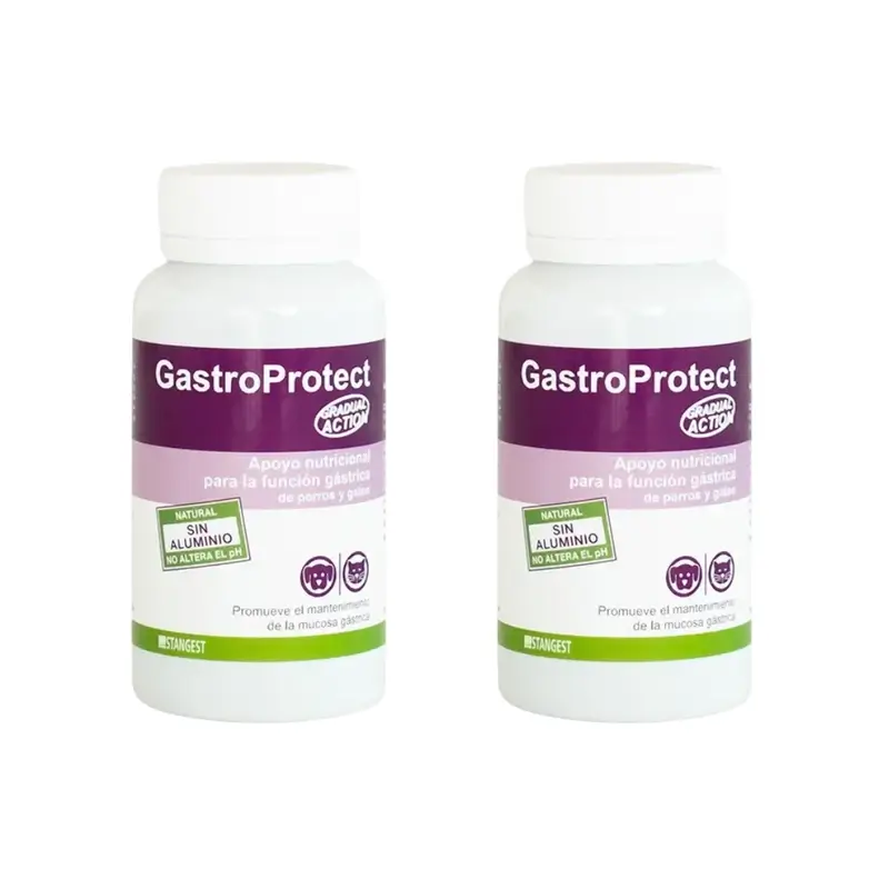 Gastroprotect Stangest, 2X30 Comprimidos