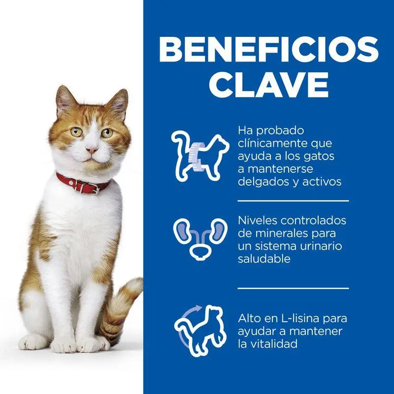 Hill'S Young Adult Sterilised Cat Pollo 10 kg Alimento para Gatos