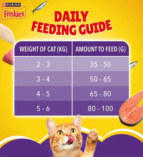 Friskies Surfin Favourites Cat Dry Food
