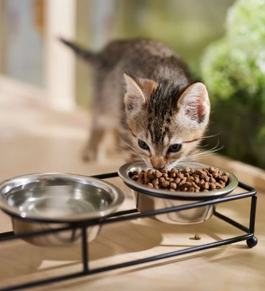 Farmina N&D Chicken & Pomegranate Prime Kitten Dry Cat Food