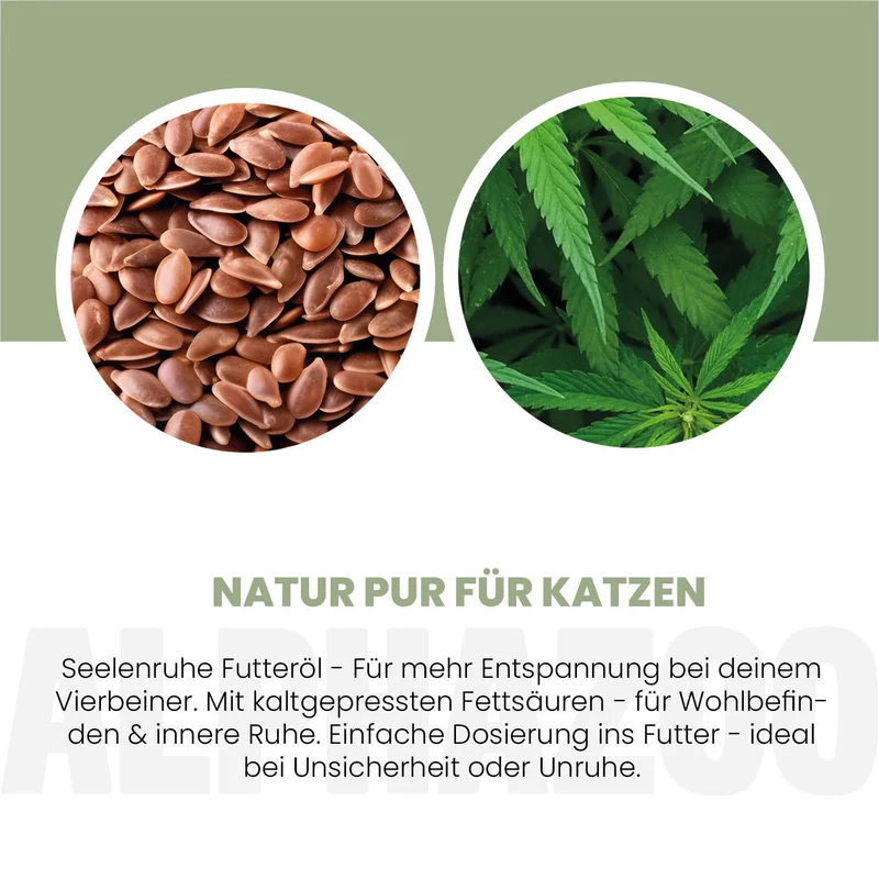 Seelenruhe Futteröl para Katzen