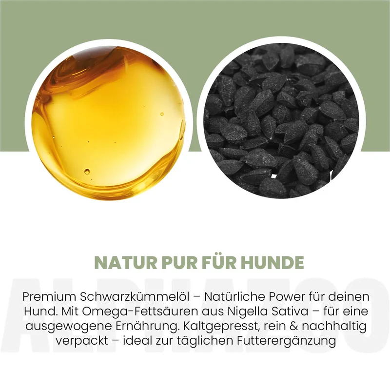 Aceite de comino negro para perros