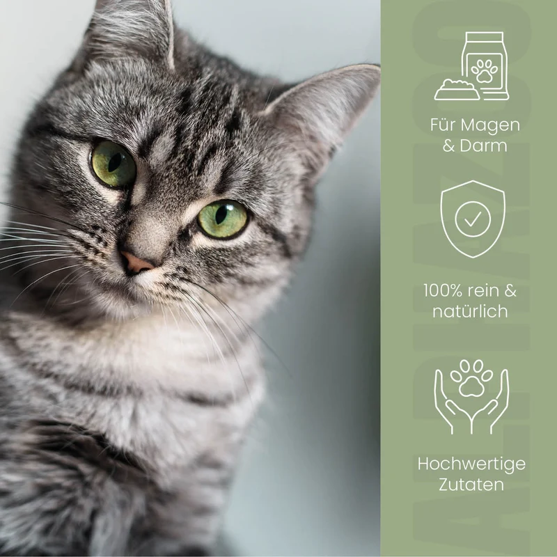 Pupsbremse Futteröl para gatos