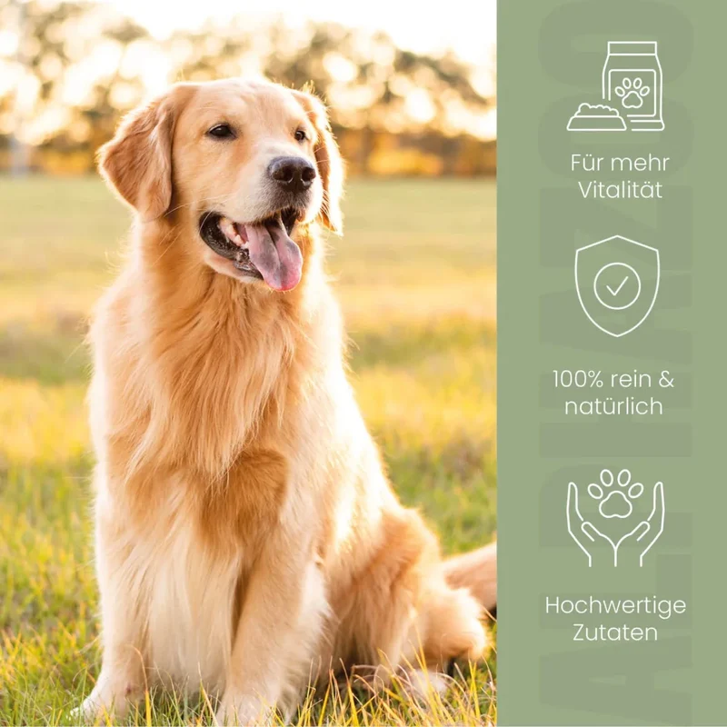 Alfa-Immun Futteröl para perros