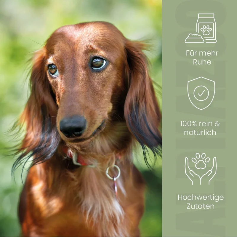 Alpha-Zegg Futteröl para perros