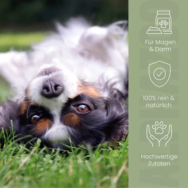 Pupsbremse Futteröl para perros