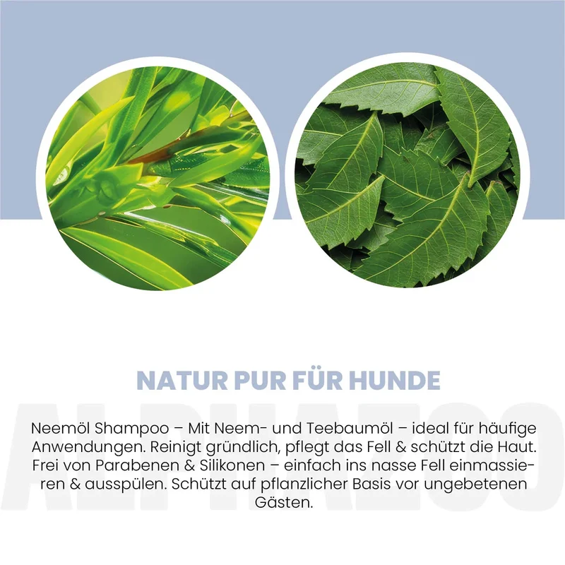 Champú de aceite de neem para perros