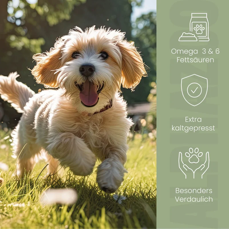 Aceite de linaza para perros