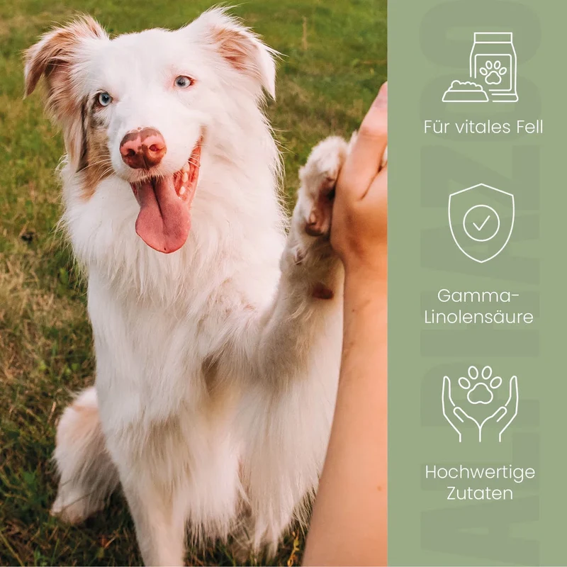 Fellliebe Futteröl para perros