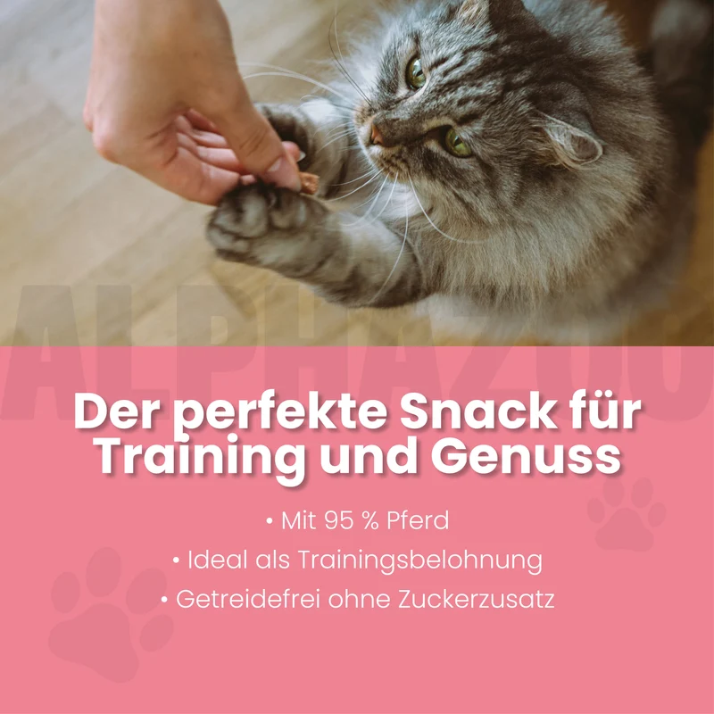 Pferdammt Lecker