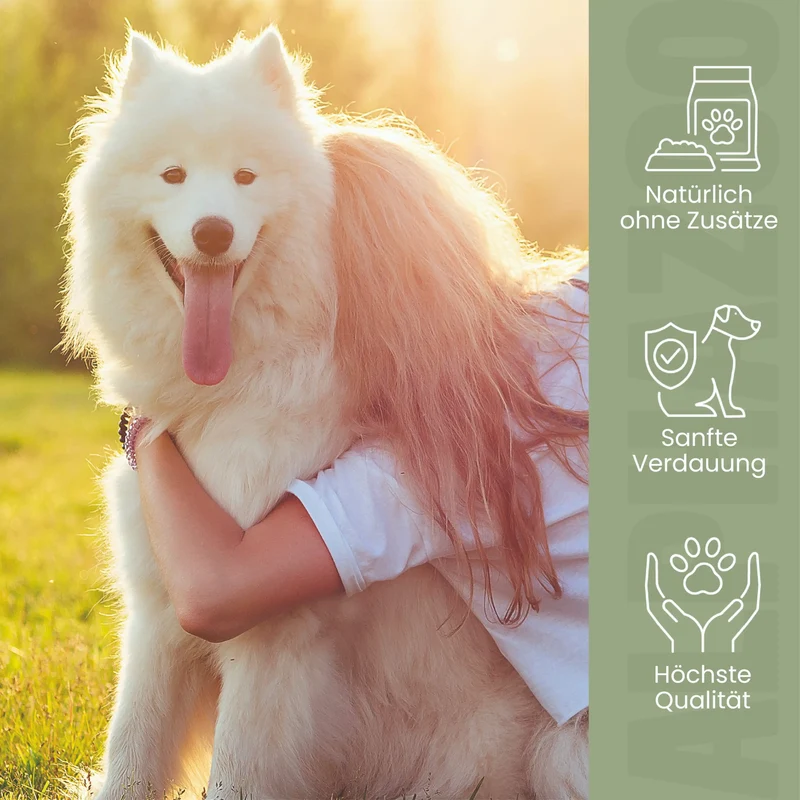 Flohsamenschalen gemahlen para perros