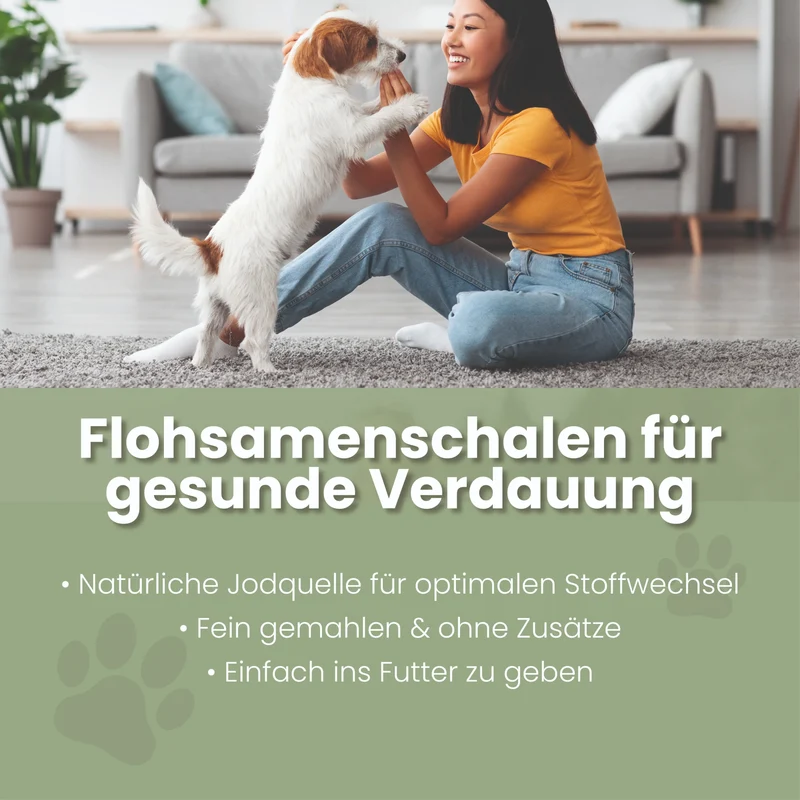 Flohsamenschalen gemahlen para perros