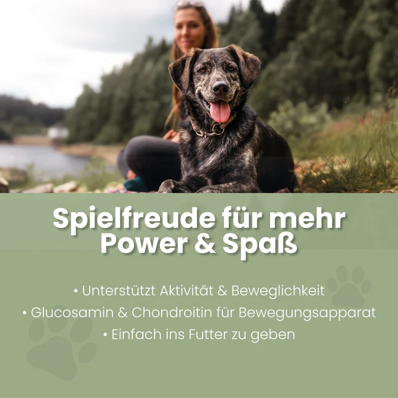 Tabletas Spielfreude