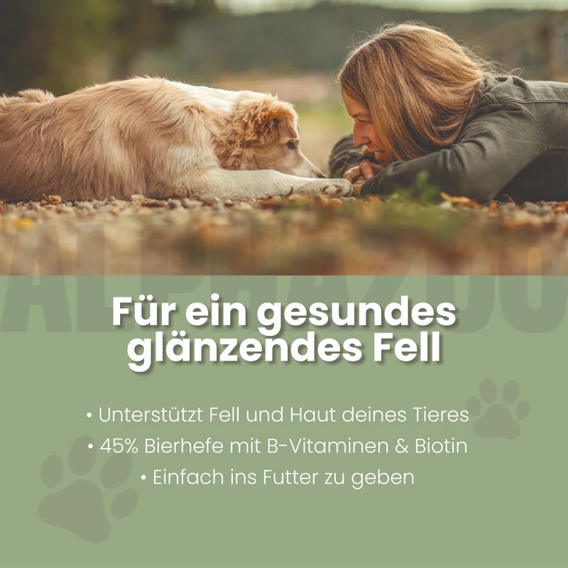 Tabletas de cerveza para perros
