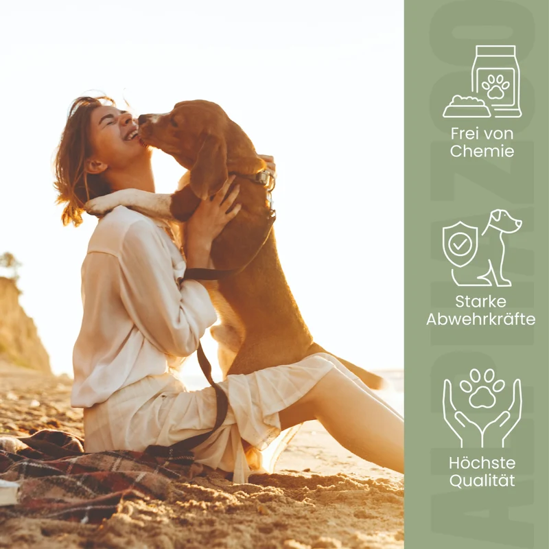 Tabletas de cerveza para perros