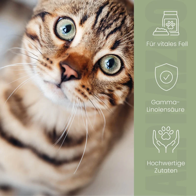 Fellliebe Futteröl para Katzen