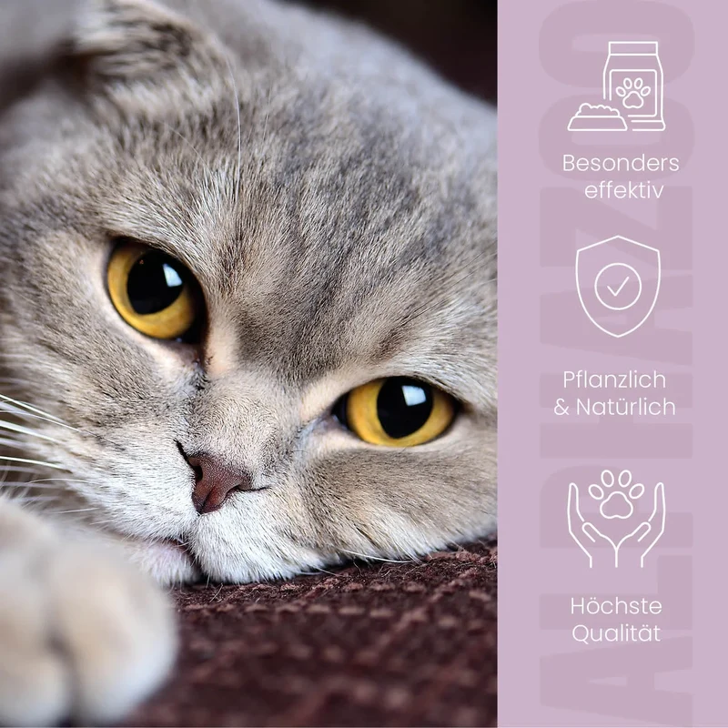 MilbHunter Spot-On para gatos
