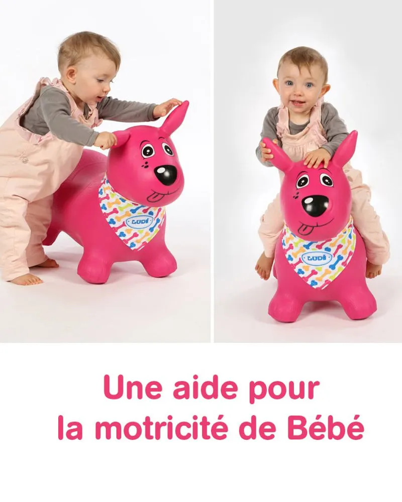 Ludi Mon Chien Sauteur 10M+ - Rose