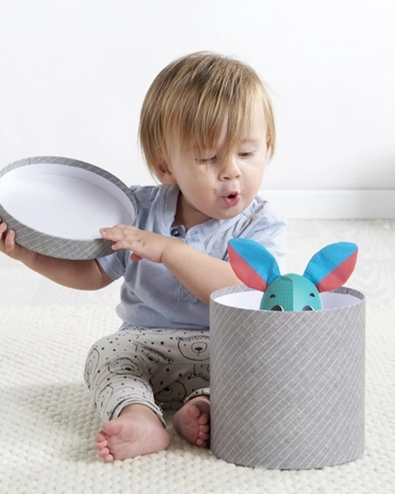 Jouet Interactif Wonder Buddies Thomas 12M+ Tiny Love