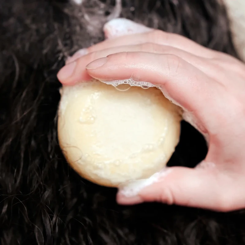 Shampoing Solide - Cheveux Bouclés