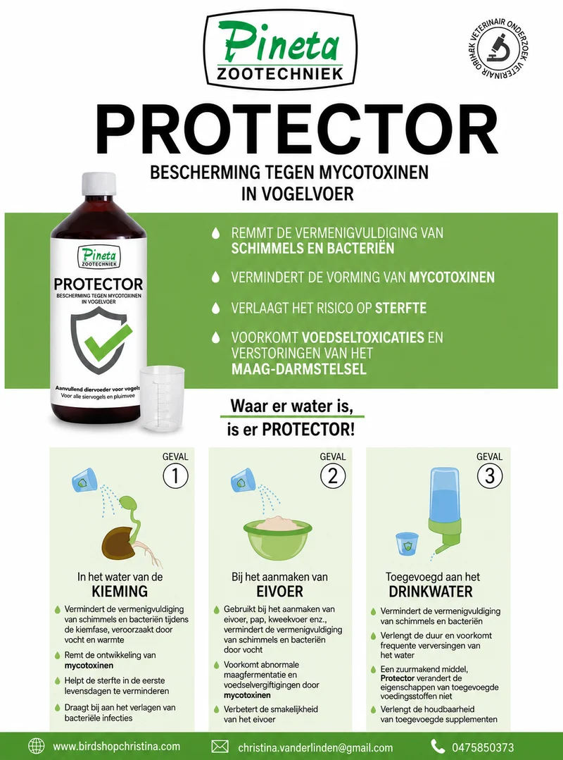 Protector 3 en 1 (antibacteriano) 1 L - (Agua para germinación, alimento para huevos, agua potable) Pineta Zootecnici