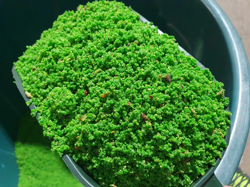 Verdure Rul Egg Food 100 gramos PAQUETE DE PRUEBA (+ Complejo de Vitaminas), a base de zanahoria, hinojo y tomate - Pineta Zootecnisi