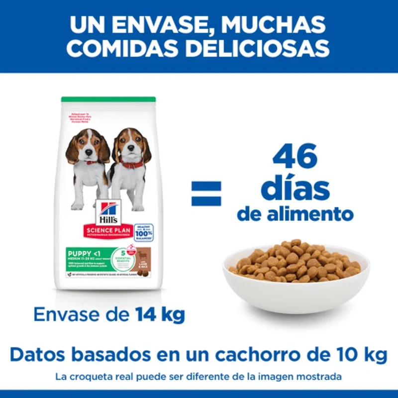 Hill'S Science Plan Medium Puppy Cordero y Arroz 2,5 kg Alimento para Perros
