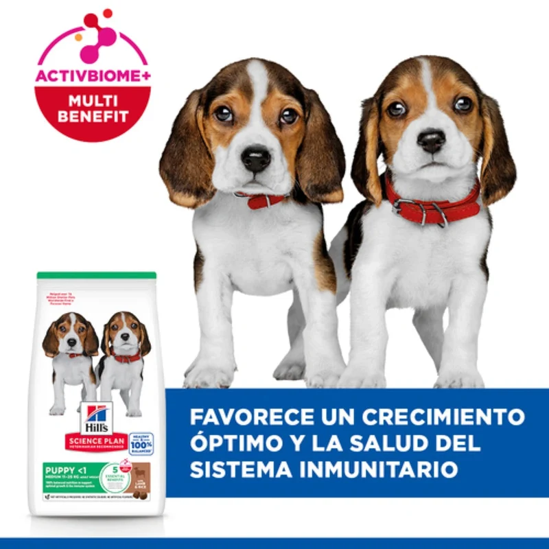 Hill'S Science Plan Medium Puppy Cordero y Arroz 2,5 kg Alimento para Perros