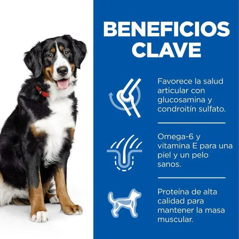 Hill'S Science Plan Adult Large Breed Pollo 18 kg Alimento para Perros
