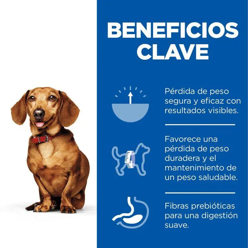 Hill'S Science Plan Adult Perfect Weight Small y Mini Pollo 6 kg Alimento para Perros