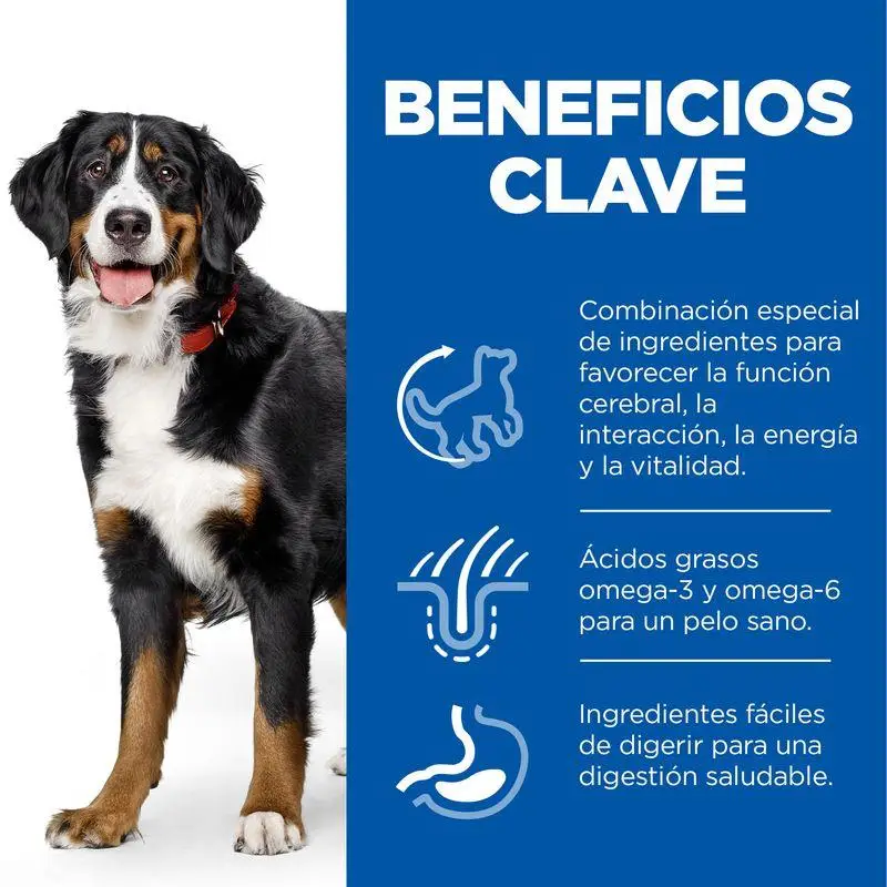 Hill'S Science Plan Mature Adult 5+ Senior Vitality Large Breed Pollo 14 kg Alimento para Perros