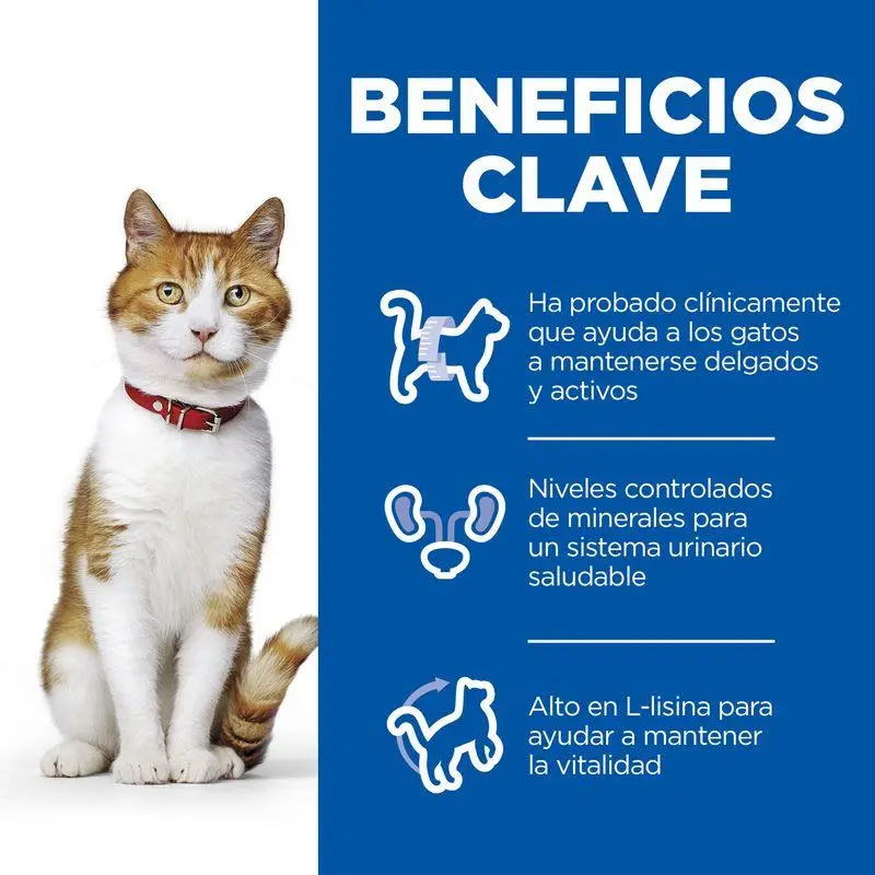 Hill'S Science Plan Sterilised Trucha 85 g Alimento para Gatos