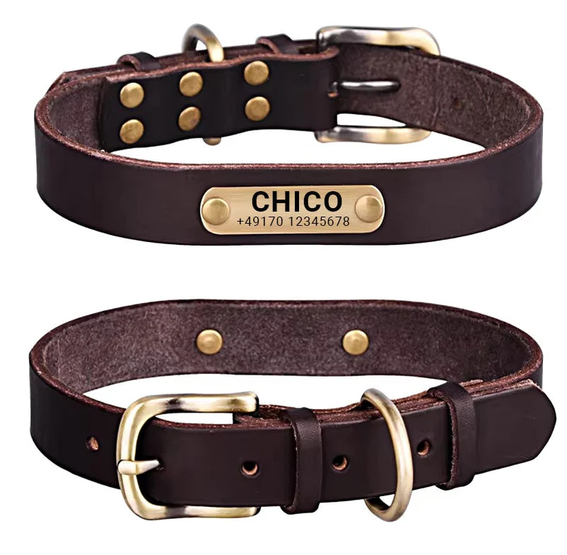 Echtleder Hundehalsband mit Messingschnalle in vier Farben und gratis Gravur Name und Telefon