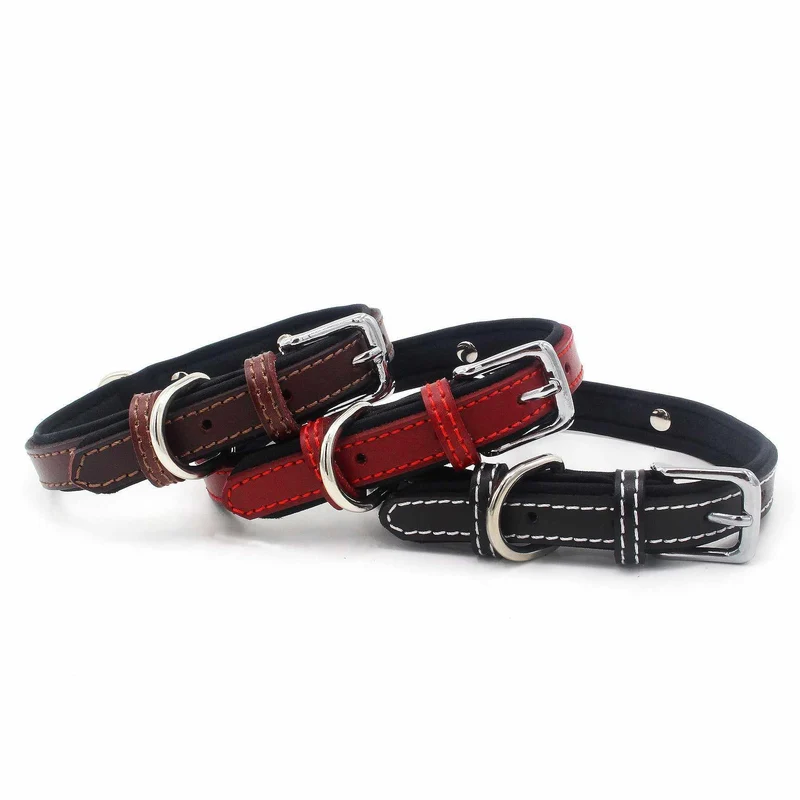 Hundehalsband mit Namen aus hochwertigem Leder, Innenpolsterung aus Neopren, 2 anillos en D masivos
