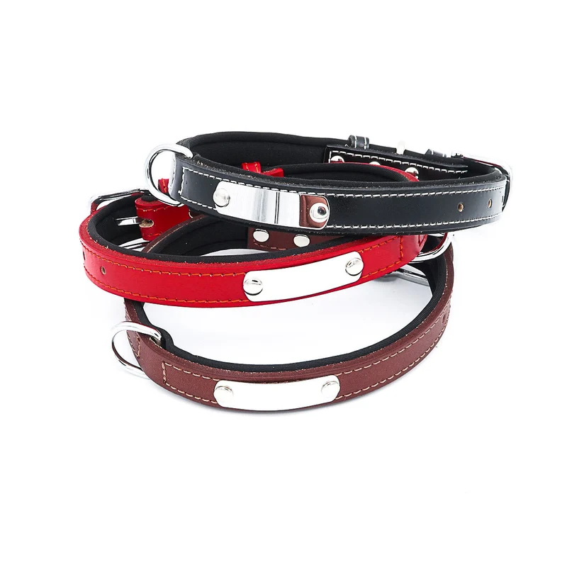 Hundehalsband mit Namen aus hochwertigem Leder, Innenpolsterung aus Neopren, 2 anillos en D masivos