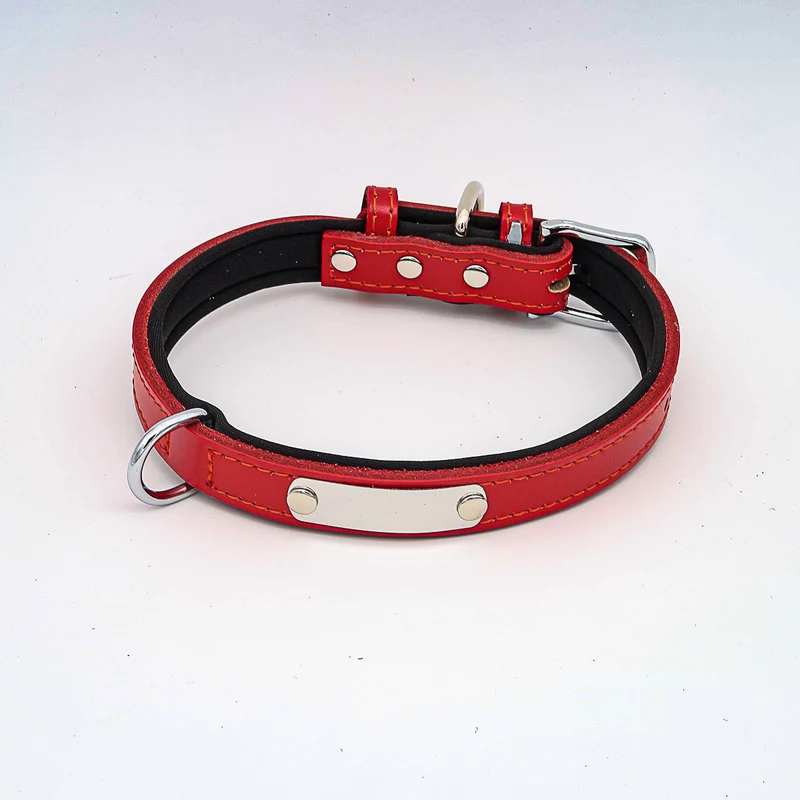 Hundehalsband mit Namen aus hochwertigem Leder, Innenpolsterung aus Neopren, 2 anillos en D masivos