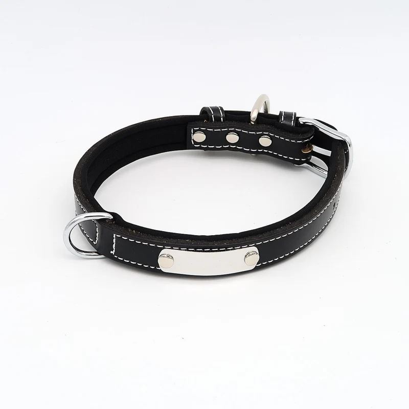 Hundehalsband mit Namen aus hochwertigem Leder, Innenpolsterung aus Neopren, 2 anillos en D masivos
