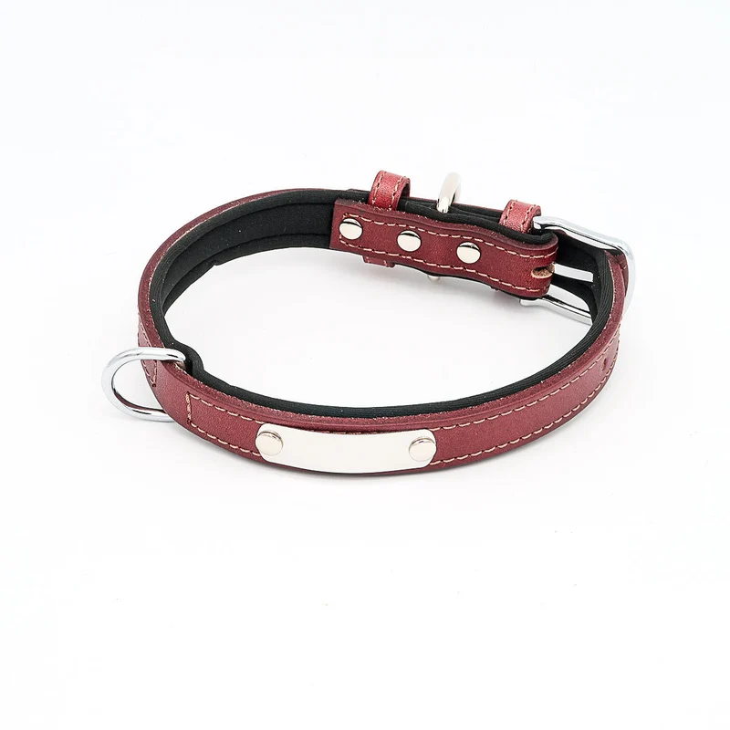 Hundehalsband mit Namen aus hochwertigem Leder, Innenpolsterung aus Neopren, 2 anillos en D masivos
