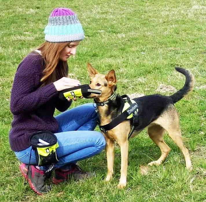 Truelove Leckerli-Beutel Snack Dummy Neongelb - S bis XL, Reißverschluss, robusto