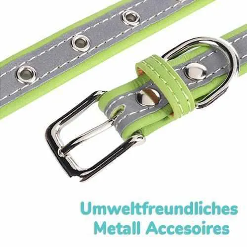 Hundehalsband mit Namen und Telefon graviert. reflexivo