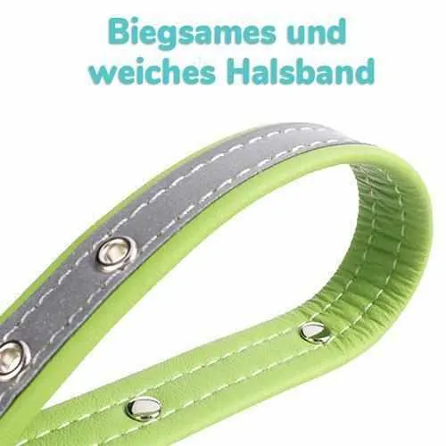 Hundehalsband mit Namen und Telefon graviert. reflexivo